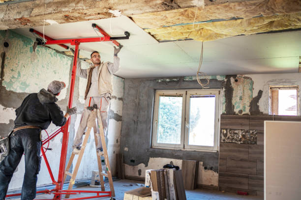 Best Geographic-Specific Insulation Services in Platteville, CO