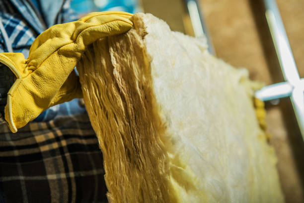 Best Eco-Friendly Insulation in Platteville, CO